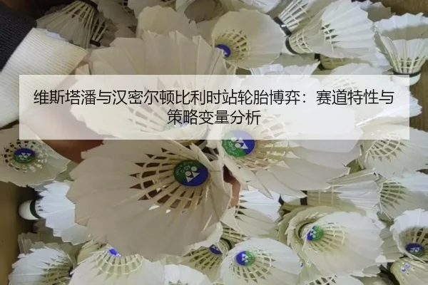 wei-si-ta-pan-yu-han-mi-er-dun-bi-li-shi-zhan-lun-tai-bo-yi-sai-dao-te-xing-yu-ce-lve-bian-liang-fen-xi-2-496.jpg